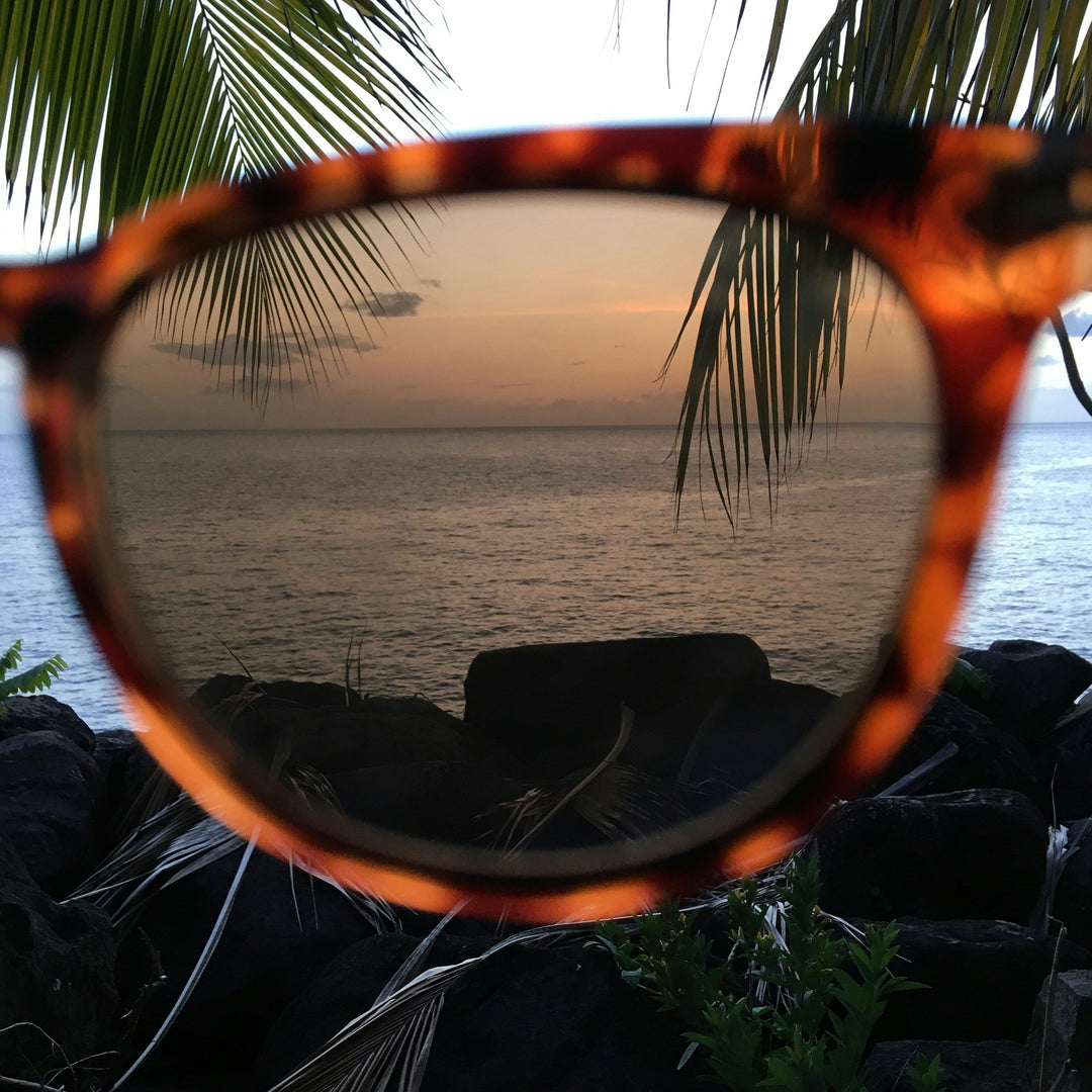 Why Sunglasses Are Essential for Eye Protection