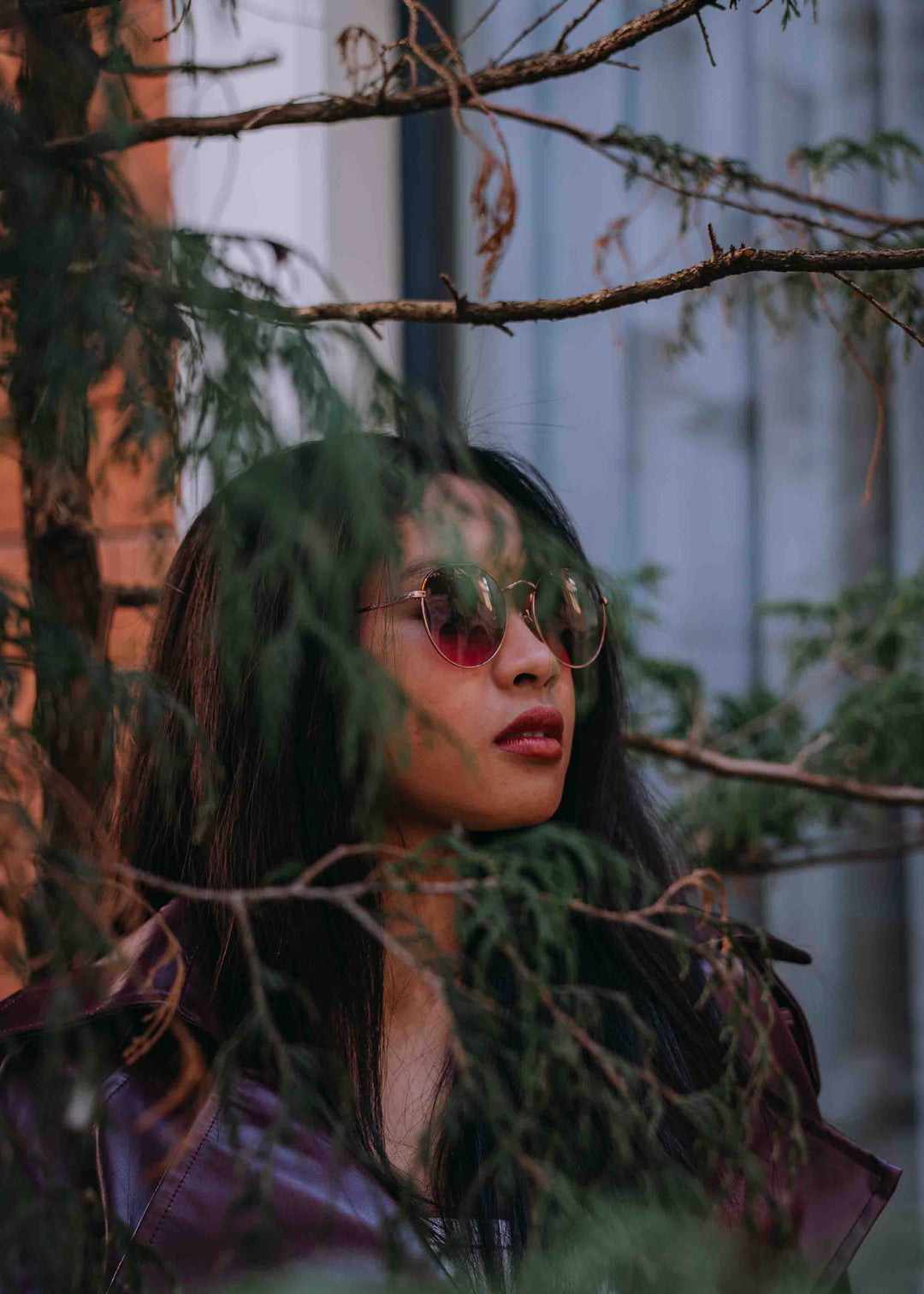 Tiger Sunglasses